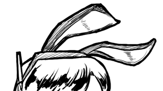 갤러리 프리뷰 이미지