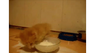 갤러리 프리뷰 이미지