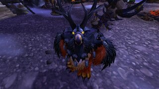 갤러리 프리뷰 이미지