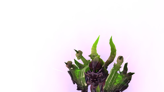 갤러리 프리뷰 이미지