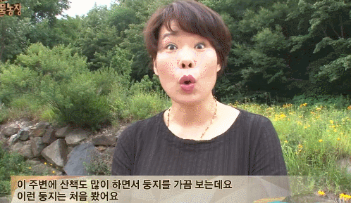리그오브레전드 인벤 : 동1 - LoL 이미지 링크 게시판 동1