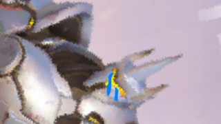 갤러리 프리뷰 이미지