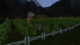 옥수수 농장