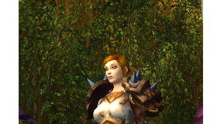 갤러리 프리뷰 이미지