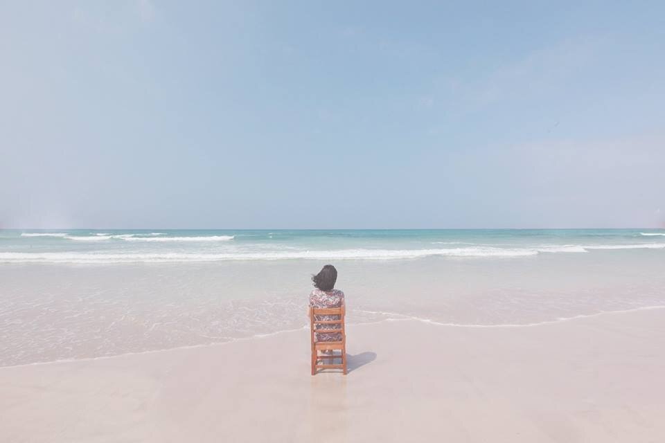 애완선인장 이미지