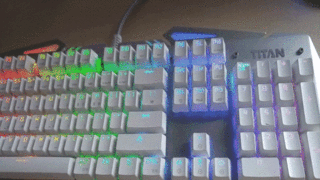 갤러리 프리뷰 이미지