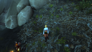 갤러리 프리뷰 이미지