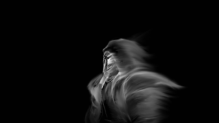 갤러리 프리뷰 이미지