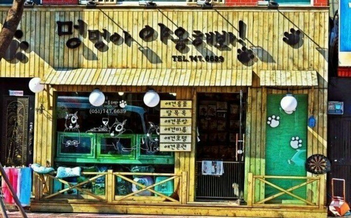 원본 크기로 보시려면 그림을 클릭하세요.