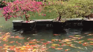 갤러리 프리뷰 이미지