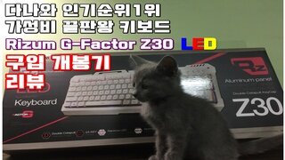 다나와 인기순위 1위 가성비짱 LED 키보드 개봉&리뷰