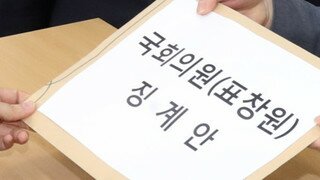 새누리당이 '박근혜 풍자그림'에 대해 표창원 징계안을 제출했다