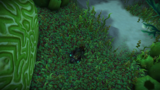 갤러리 프리뷰 이미지