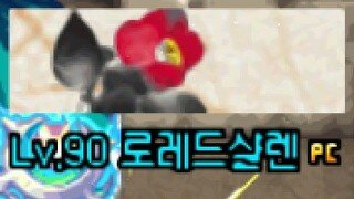 갤러리 프리뷰 이미지