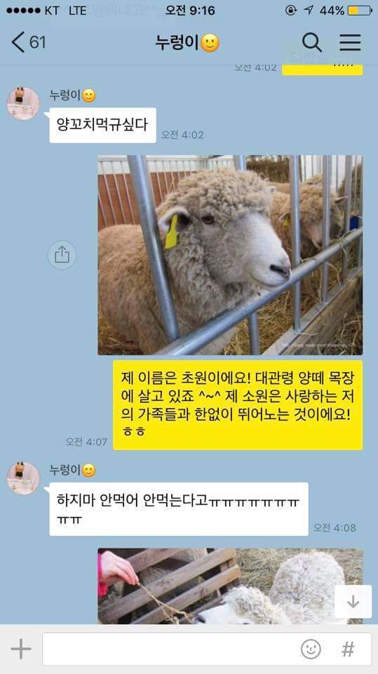 웹진 인벤 : 다시보는 양꼬치 카톡 - 오픈이슈갤러리 다시보는 양꼬치 카톡