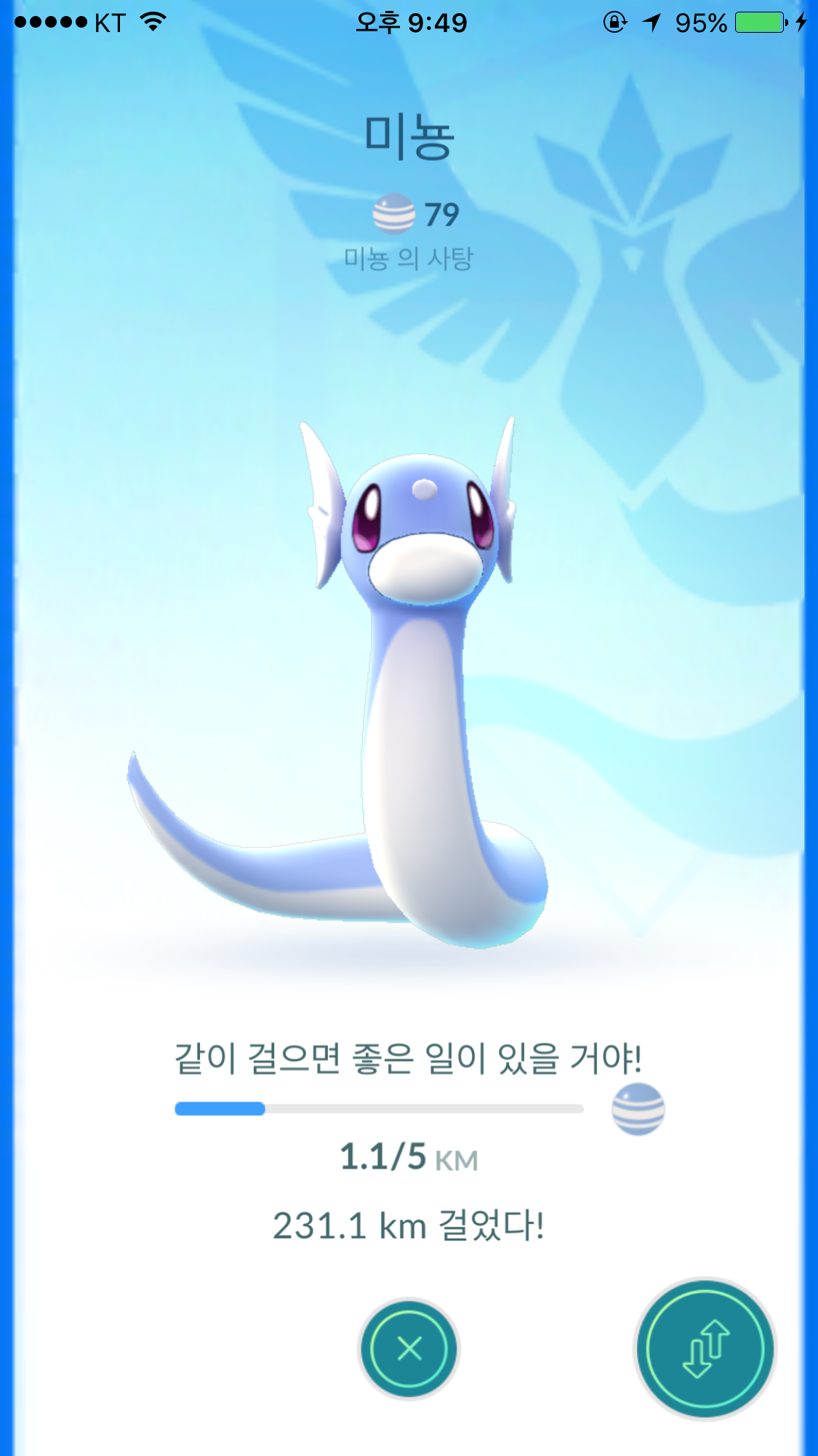포켓몬 GO 인벤 : 미뇽과 함께 200키로 넘게 걸어봤습니다. - 포켓몬GO 인벤 게시판 미뇽과 함께 200키로 넘게 걸어봤습니다.