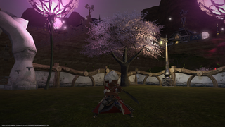 갤러리 프리뷰 이미지