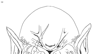 갤러리 프리뷰 이미지