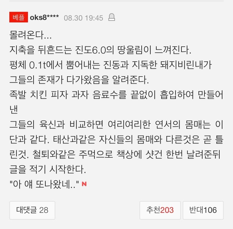 네이트 이미지