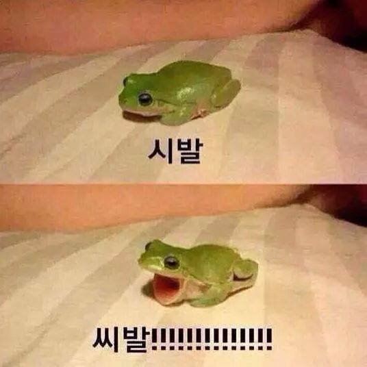 검은사막 인벤 : 아 씨바. - 검은사막 인벤_미스틱 게시판 아 씨바.