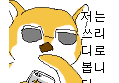 썸네일 이미지