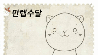 갤러리 프리뷰 이미지