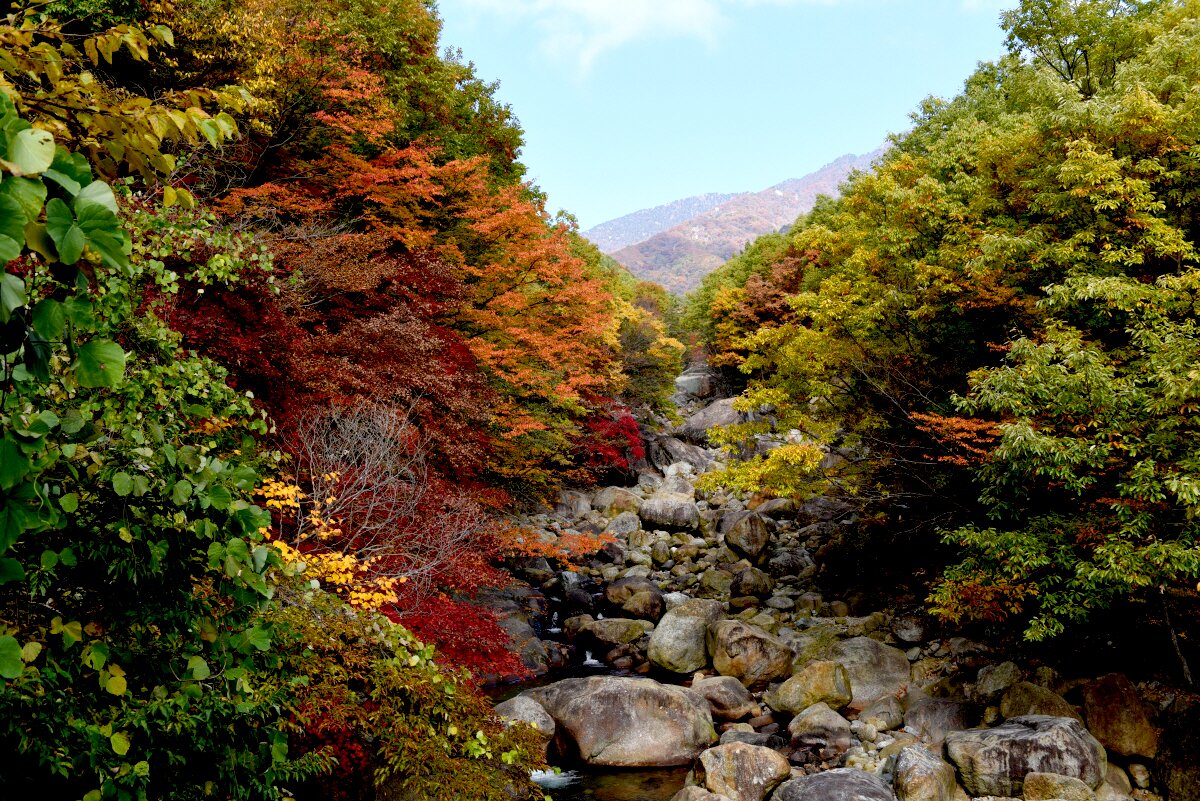 산 사진 몇 장 - 지리산 천왕봉 가는길 - 오픈이슈갤러리 - 인벤 산 사진 몇 장 - 지리산 천왕봉 가는길