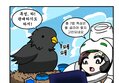 썸네일 이미지