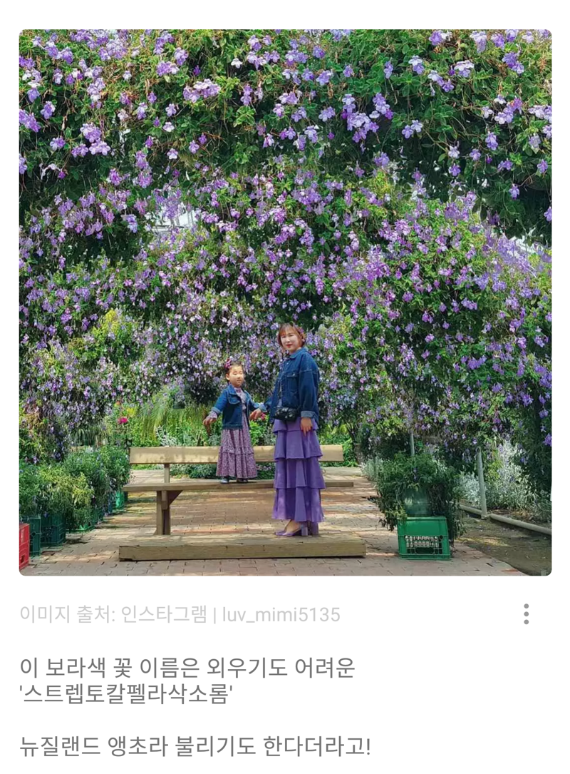 핫플레이스 충남 식물원 - 오픈이슈갤러리 - 인벤 핫플레이스 충남 식물원