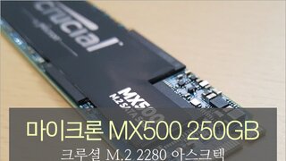 마이크론 크루셜 MX500 M.2 2280 250GB 아스크텍