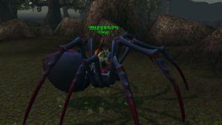 갤러리 프리뷰 이미지