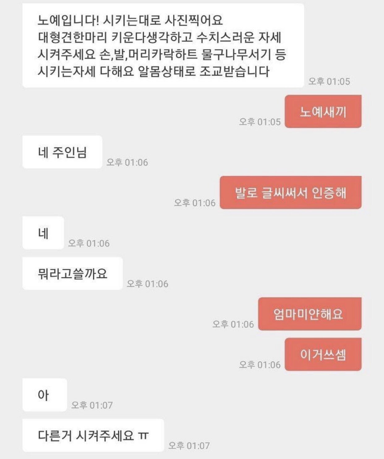 노예자세인증 국민일보