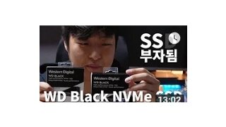 SSD가 두 개씩이나 생겨버렸다 - WD Black NVMe SSD