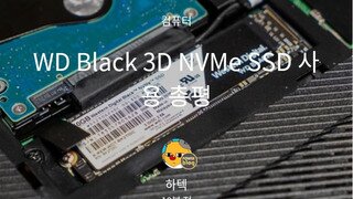 WD Black 3D NVMe SSD 느낀점
