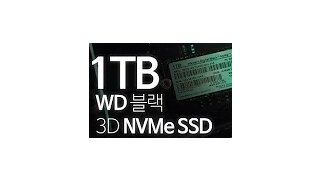 [4K/AD] 탐나더라, 웨스턴디지털 WD 블랙 3D NVMe SSD 1TB