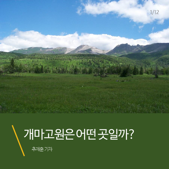 웹진 인벤 : 동해안, 강원도의 폭설구조 - 오픈이슈갤러리 동해안, 강원도의 폭설구조