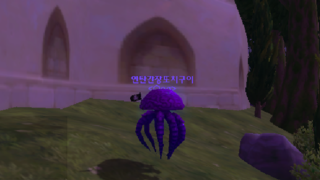 갤러리 프리뷰 이미지