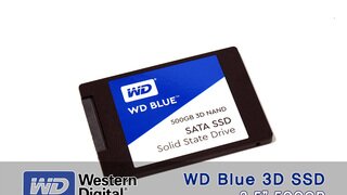 블루의 명성을 이어간다. WD Blue SSD 필드테스트 #3 성능편