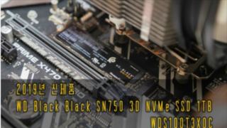 2019년 신제품 WD Black SN750 NVMe SSD 1TB