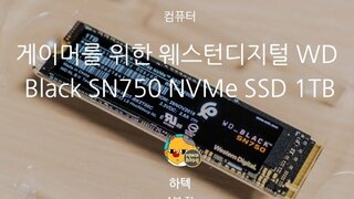 웨스턴디지털 WD Black SN750 NVMe SSD