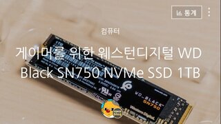웨스턴디지털 WD Black SN750 NVMe SSD