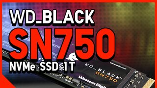 WD Black SN750 1T 조금은 상세한 리뷰 (부품까지 궁금하면 클릭)