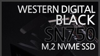 게임을 하면 이겨야지! 게이머의 필수품인 NVMe SSD, WD Black SN750 사용기 1편~!