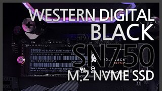 좀 더 빠른 SSD 없을까? 게이머의 필수품인 NVMe SSD, WD Black SN750 사용기 2편~!