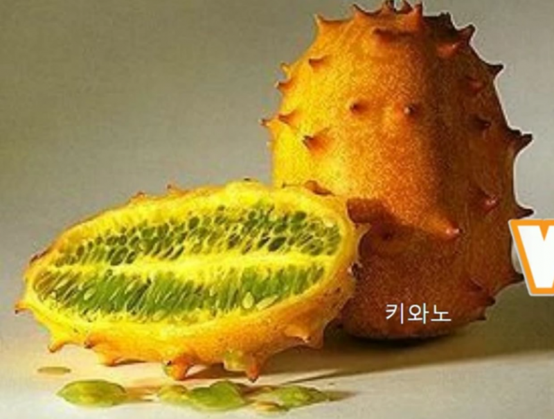 메이플스토리 인벤 : 타노스가 농사짓던식물 ㄹㅇ 공개 - 메이플스토리 인벤 자유게시판 (구) 타노스가 농사짓던식물 ㄹㅇ 공개