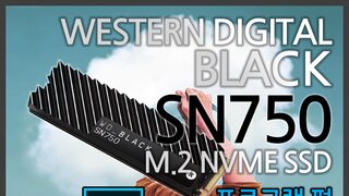NVMe SSD가 사진 편집 작업에도 영향을 미칠까? WD BLACK SN750 포토샵 편!
