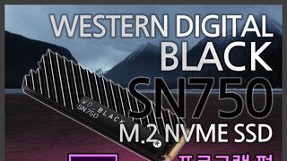 영상 편집에 NVMe SSD는 얼마나 빠를까? WD BLACK SN750 프리미어 프로 편!