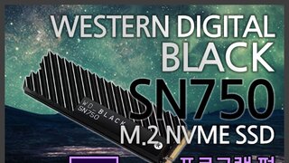 NVMe SSD와 함께라면, 편집도 가장 빠르게! WD BLACK SN750 애프터 이펙트 편!