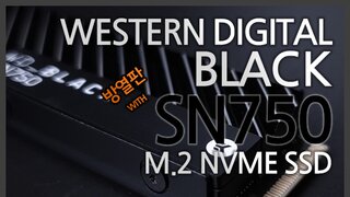 방열판 탑재로 더욱 완벽해진 SSD! WD BLACK SN750 1TB 리뷰~!