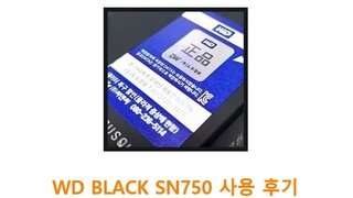 WD BLACK SN750 사용 후기